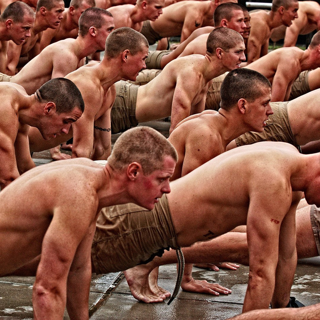 Push Up Training Program